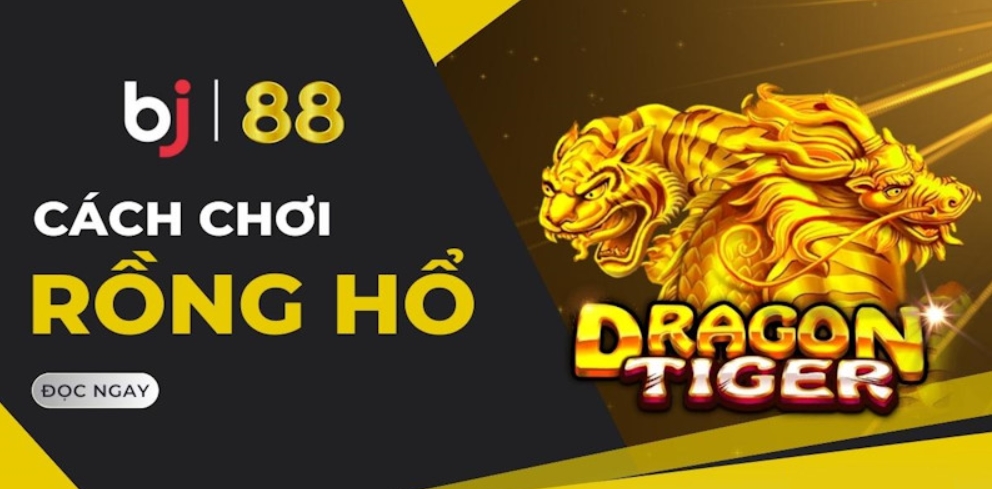 rồng hổ bj88